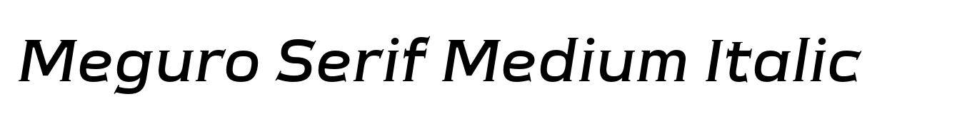 Meguro Serif Medium Italic